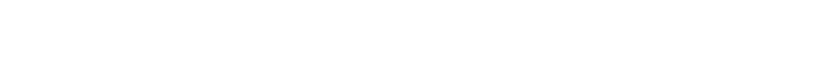 Bizzotto Logo